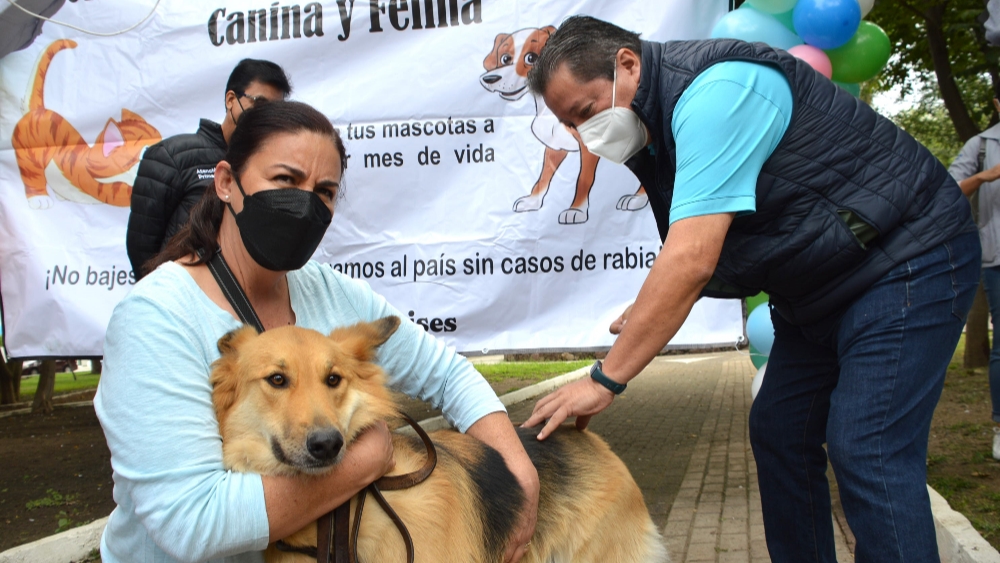 Del 23 al 29 de abril será la «Jornada Intensiva de Vacunación Antirrábica Canina y Felina» en Guanajuato