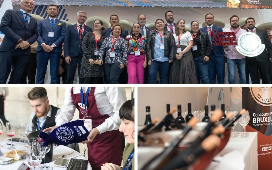 Guanajuato será sede del Concurso Mundial de vinos de Bruselas en 2024