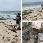 GN aseguran paquetes de cocaína que encontraron entre el sargazo en una playa de Tulum, Quintana Roo