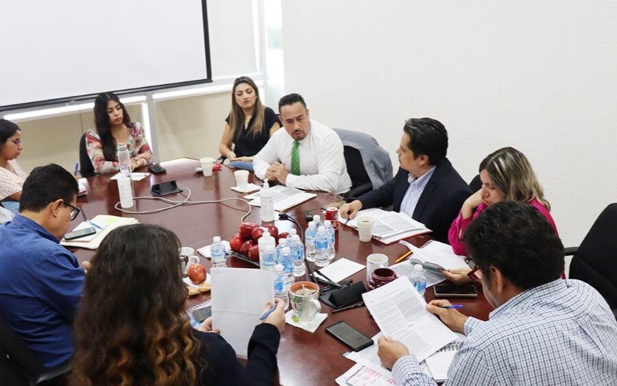 En Guanajuato el INE comenzó con la planificación y organización del Proceso Electoral 2023 – 2024