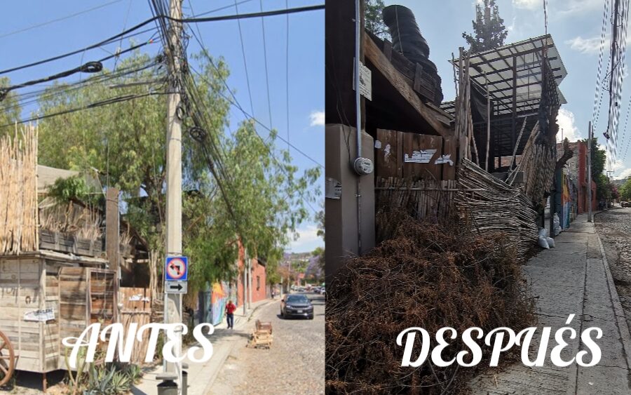 El antes y después de árbol frondoso que desapareció en la calle Stirling Dickinson de la San Antonio