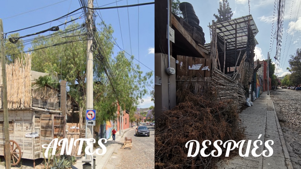 El antes y después de árbol frondoso que desapareció en la calle Stirling Dickinson de la San Antonio