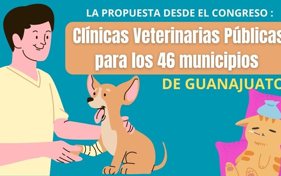 Buscan que los 46 municipios de Guanajuato tengan Clínicas Veterinarias Públicas