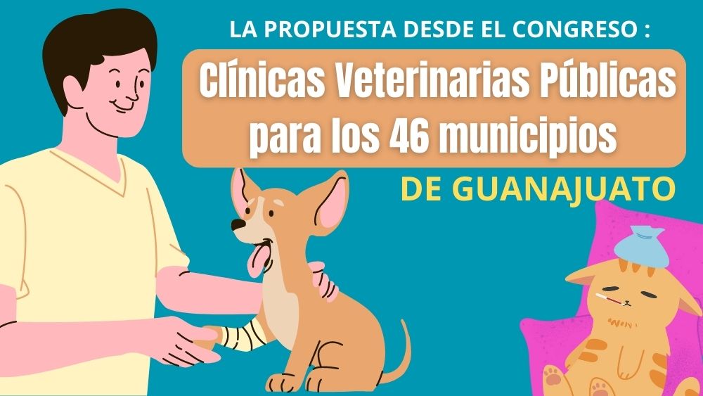 Buscan que los 46 municipios de Guanajuato tengan Clínicas Veterinarias Públicas
