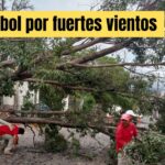 Fuertes vientos dejan sin luz ni agua varias colonias de San Miguel de Allende