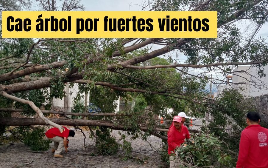 Fuertes vientos dejan sin luz ni agua varias colonias de San Miguel de Allende