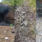 Madres Buscadoras de Jalisco hallan horno crematorio clandestino y restos óseos