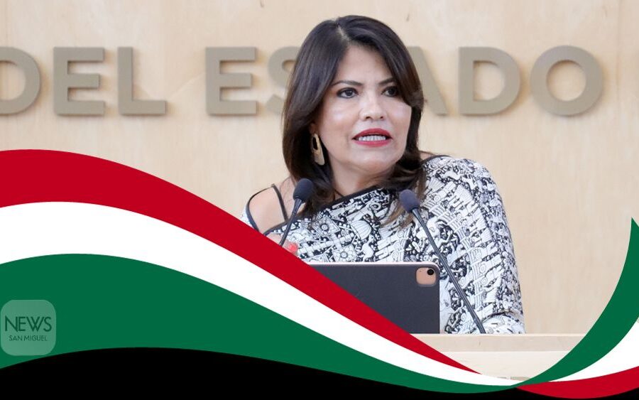 ‘Una alianza total (en Guanajuato) no nos conviene ni ellos (PAN, PRD) ni a nosotros’: Ruth Tiscareño, dirigente PRI en Guanajuato