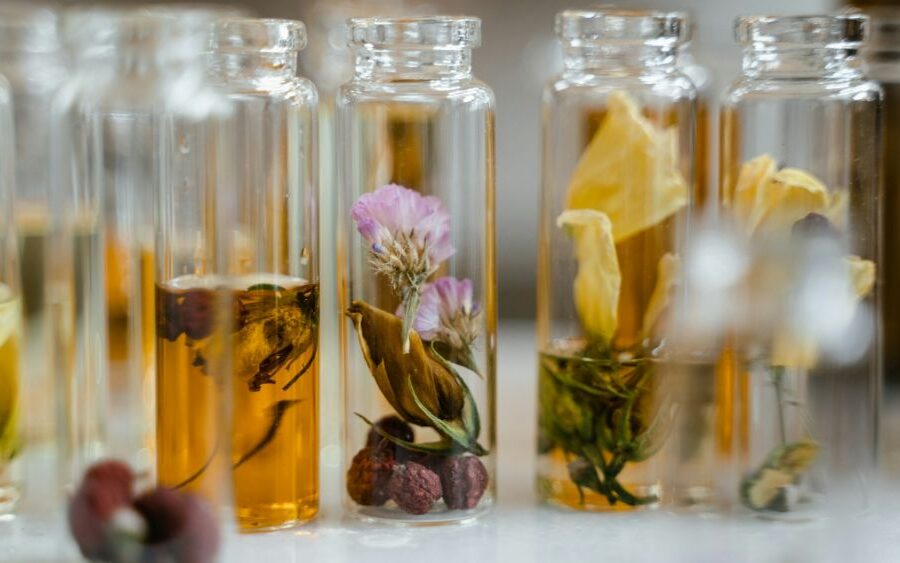 El arte de los perfumes: Una historia con aroma