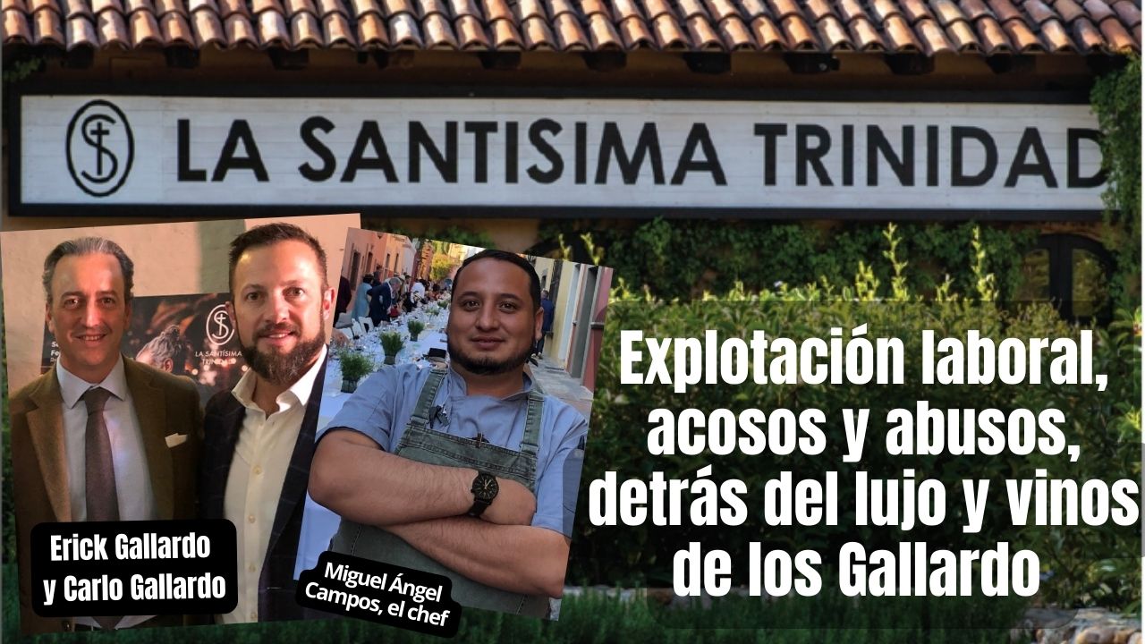 VIDEOS. Explotación laboral, acoso y discriminación detrás del ‘lujo’ del Viñedo Santísima Trinidad en San Miguel de Allende, denuncian empleados
