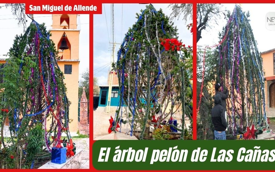‘Salvan’ habitantes de Las Cañas, al ‘Pino Pelón’ que Trejo les regaló pa’ su Navidad