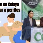 ¡BUENA NOTICIA! Histórico fallo judicial prohíbe sacrificio de animales en Celaya