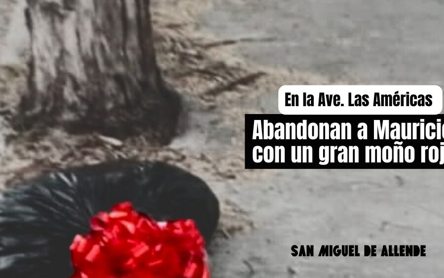 Con un gran moño rojo, abandonan el cuerpo de Mauricio en la avenida Las Américas; tenía 28 años