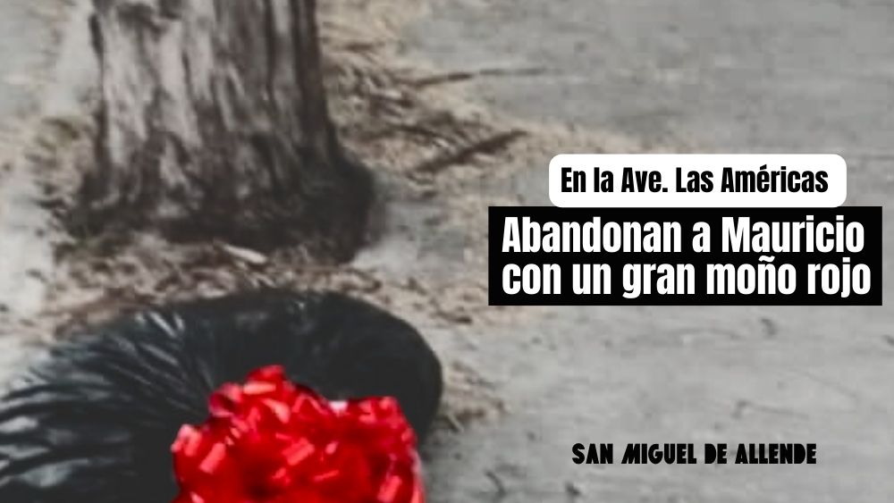 Con un gran moño rojo, abandonan el cuerpo de Mauricio en la avenida Las Américas; tenía 28 años