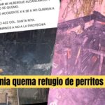 Pirotecnia de Año Nuevo quema refugio de perritos en Celaya y quema a uno de los lomitos