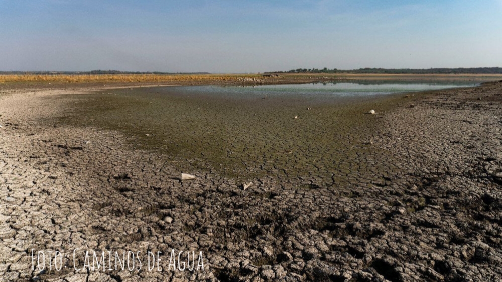 Las presas de Guanajuato se están secando; Ignacio Allende al 14 % de su capacidad
