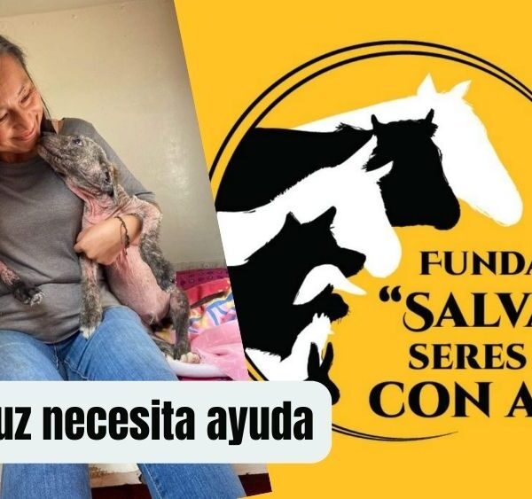 ¡Urgente! Maricruz, rescatista de la Fundación Salvando Seres Vivos, necesita nuestra ayuda