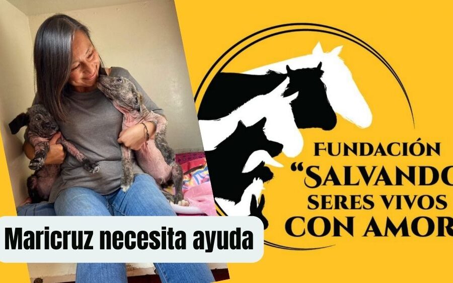 ¡Urgente! Maricruz, rescatista de la Fundación Salvando Seres Vivos, necesita nuestra ayuda