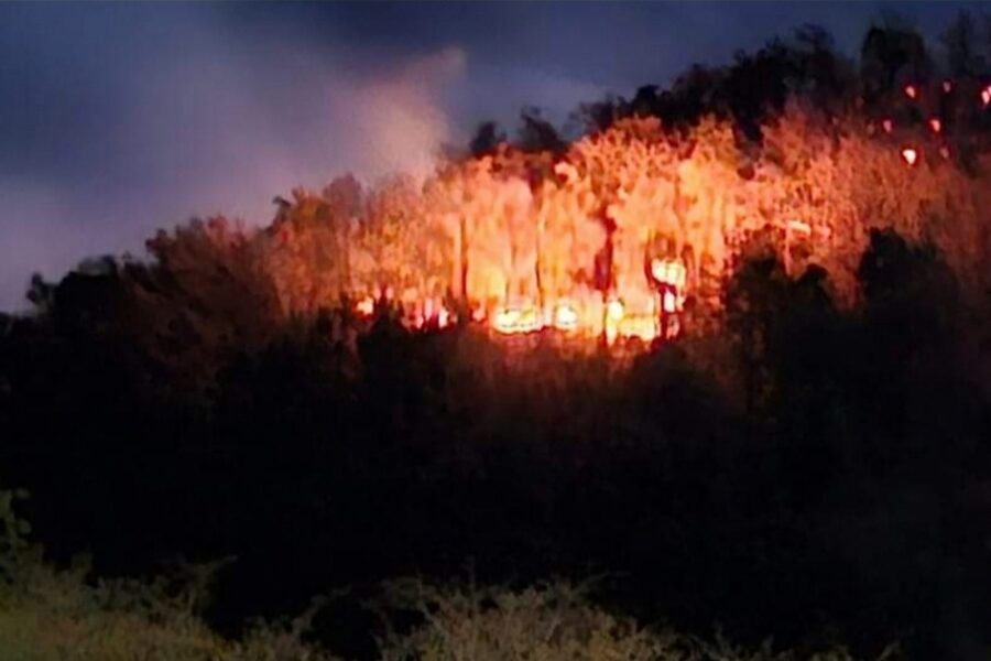 Cuerpos de emergencia de Guanajuato Capital continúan combatiendo incendio en Sierra de Santa Rosa