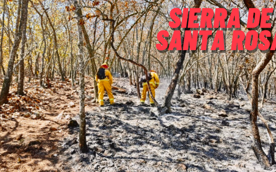 Incendio en Sierra Santa Rosa es controlado al 97%
