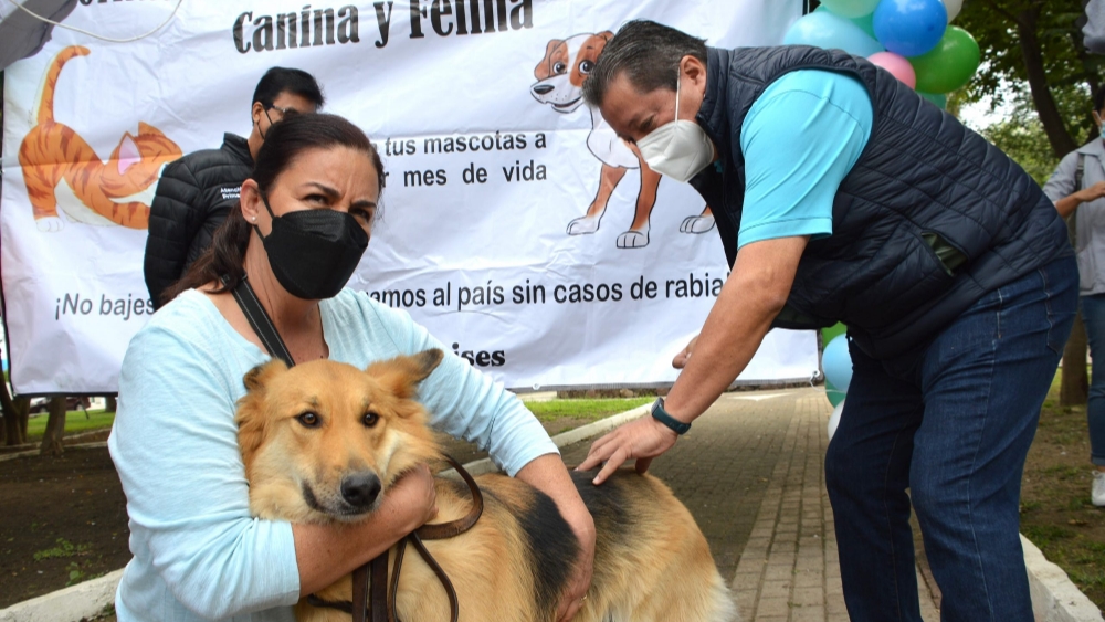 Aplican 31 mil dosis de vacuna a perros y gatos en la jornada antirrábica en San Miguel de Allende