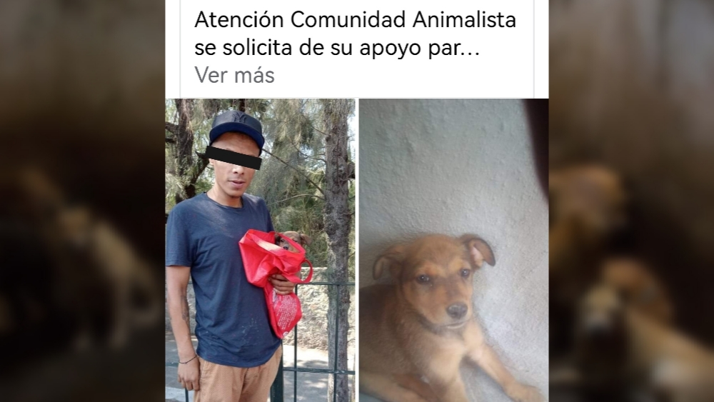 Activista denuncia que vuelven a darle un perro a hombre acusado de maltratarlos