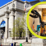 Museo de Historia en Nueva York y sus joyas ocultas