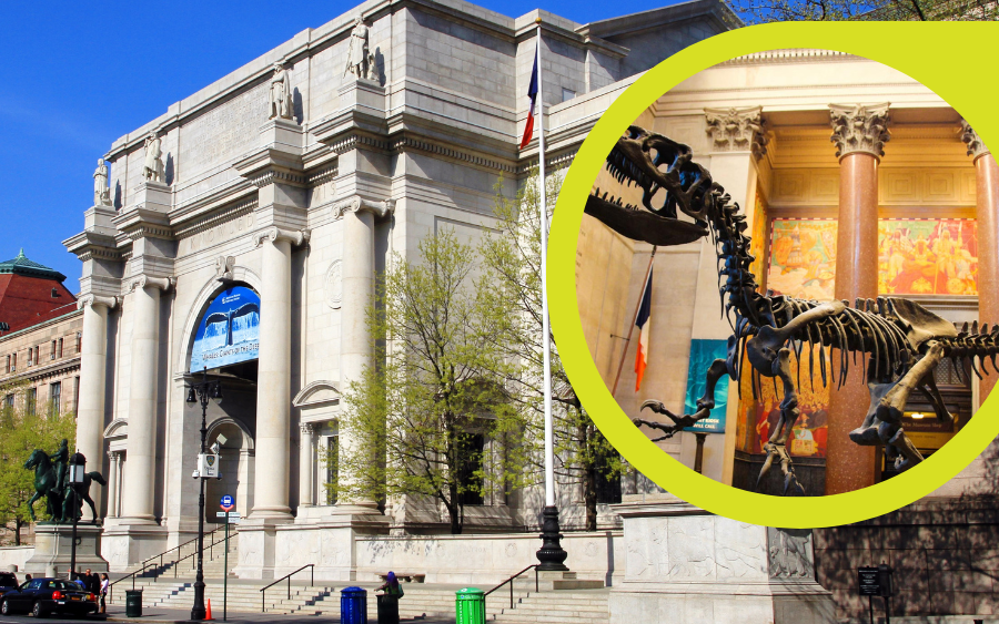 Museo de Historia en Nueva York y sus joyas ocultas