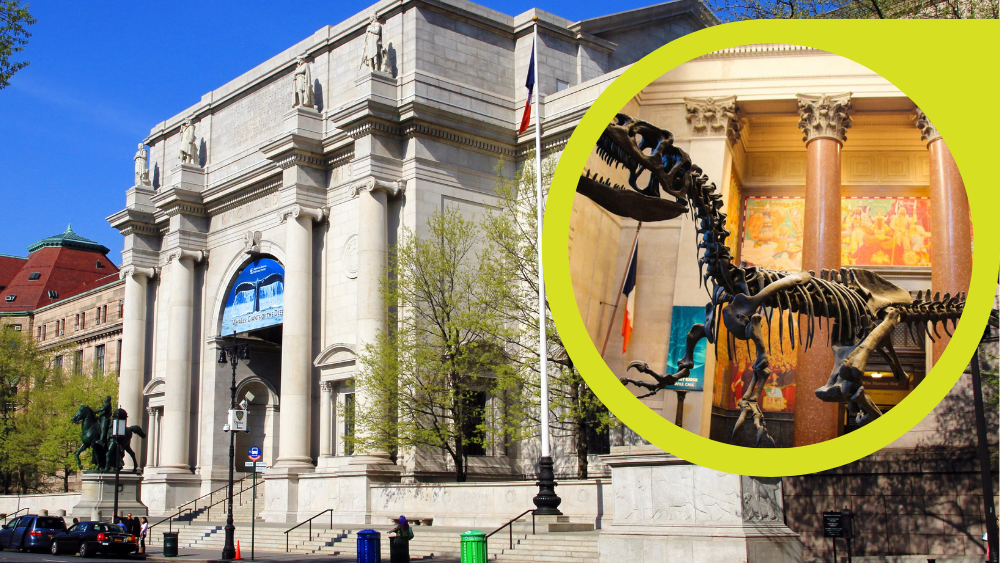 Museo de Historia en Nueva York y sus joyas ocultas