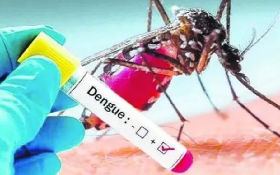 Registra Salud Guanajuato 21 casos de dengue. Tres son de SMA
