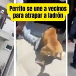 VIDEO. Hasta un perrito se une a la justicia vecinal en Tecámac al atrapar a presunto ladrón