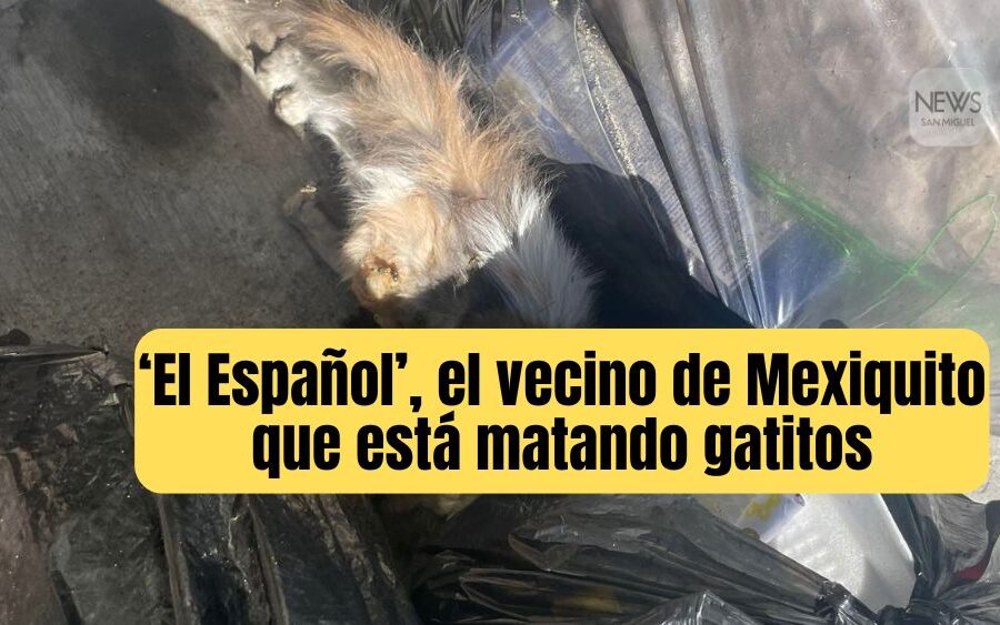 El Español, el extranjero de Mexiquito que genera crueldad animal y violencia en su casa