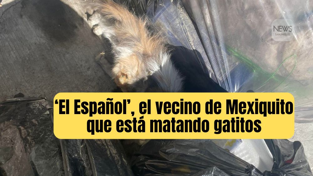 El Español, el extranjero de Mexiquito que genera crueldad animal y violencia en su casa