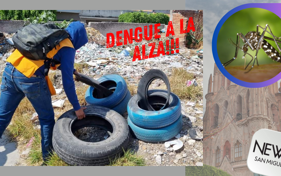 ¡Dengue en Guanajuato sigue creciendo!