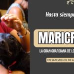 Maricruz Ayala, la heroína de los perritos en San Miguel de Allende, ya Descansa en Paz