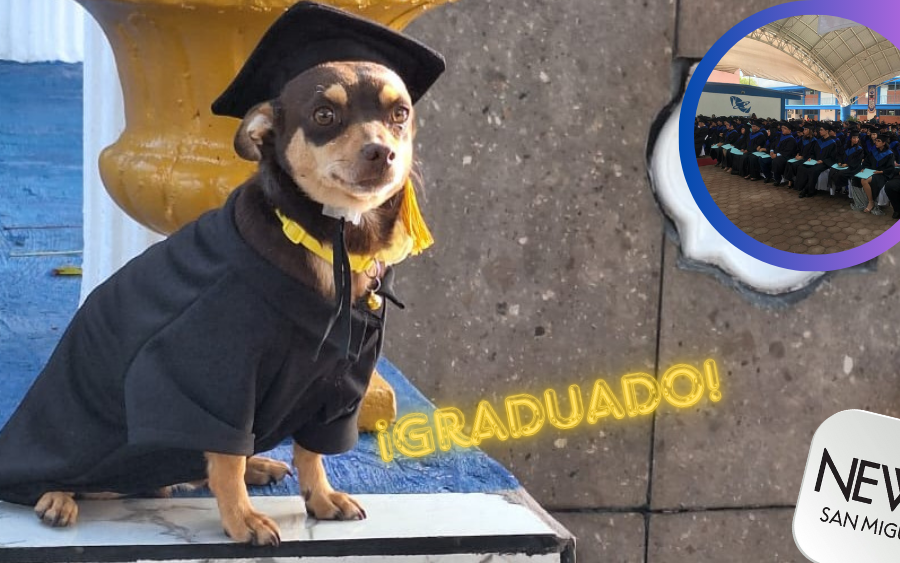 ¡Perrito «Canelo» se gradúa del CECYTEC!