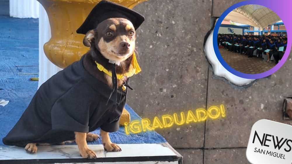 ¡Perrito «Canelo» se gradúa del CECYTEC!