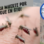 ¡Dengue! ya hay un muerto en GTO ¿qué hacer?