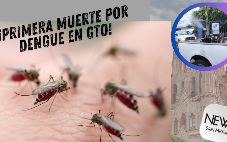 ¡Dengue! ya hay un muerto en GTO ¿qué hacer?