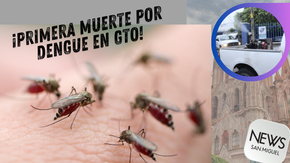 ¡Dengue! ya hay un muerto en GTO ¿qué hacer?