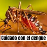 Dengue sigue a la alza en Guanajuato; San Miguel de Allende en el top con más casos