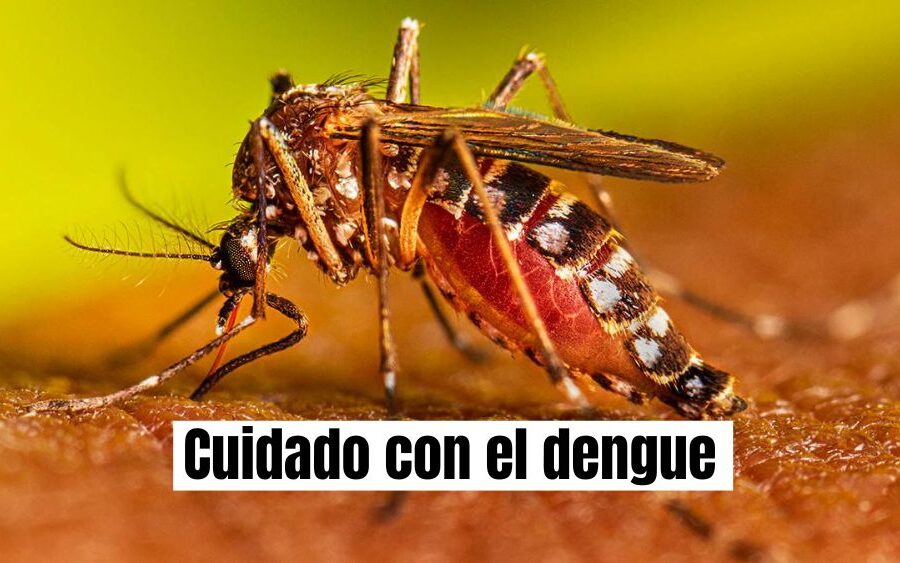 Dengue sigue a la alza en Guanajuato; San Miguel de Allende en el top con más casos