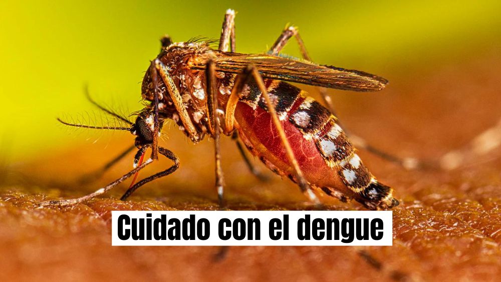 Dengue sigue a la alza en Guanajuato; San Miguel de Allende en el top con más casos