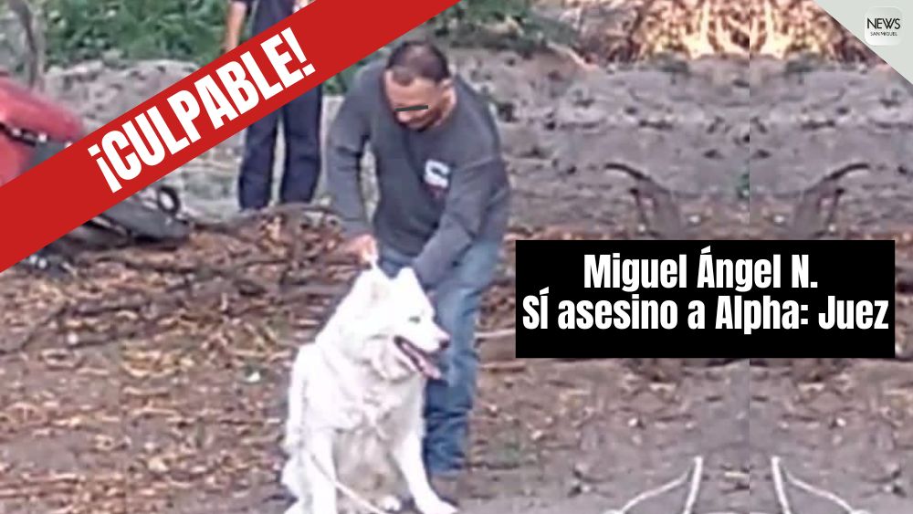 Histórica sentencia en Guanajuato: Juez declara culpable a Miguel Ángel, quien asesinó brutalmente al perrito Alpha en San Miguel de Allende