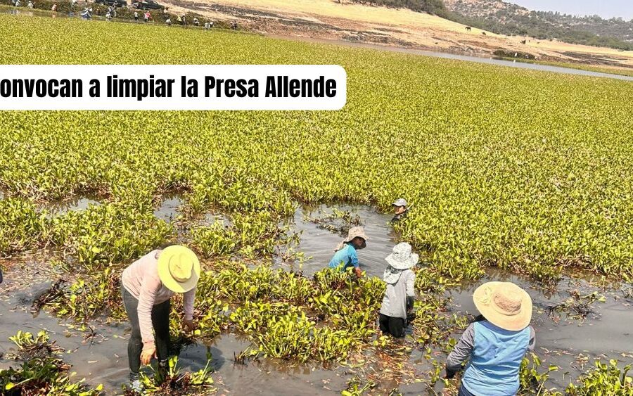 Este sábado 12 de octubre, únete para apoyar a las comunidades de la presa Allende