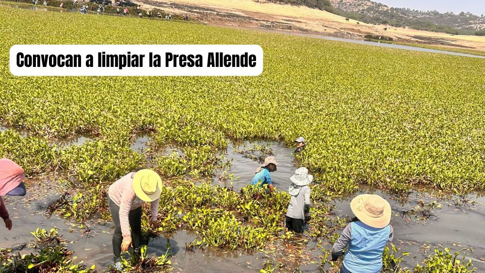 Este sábado 12 de octubre, únete para apoyar a las comunidades de la presa Allende