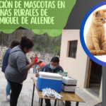 Vacunación de mascotas en zonas rurales de San Miguel de Allende