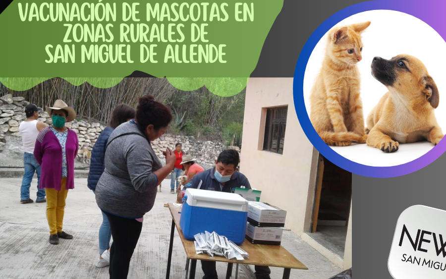 Vacunación de mascotas en zonas rurales de San Miguel de Allende