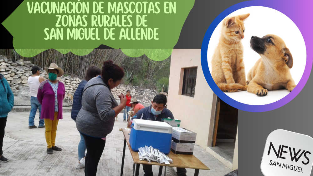 Vacunación de mascotas en zonas rurales de San Miguel de Allende