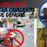 ¡Elimina criaderos de dengue con receta ecológica!